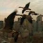Les oies à New-York, filmées par Thierry Machado - photogramme extrait du Peuple migrateur 