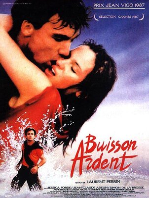 affiche Buisson ardent